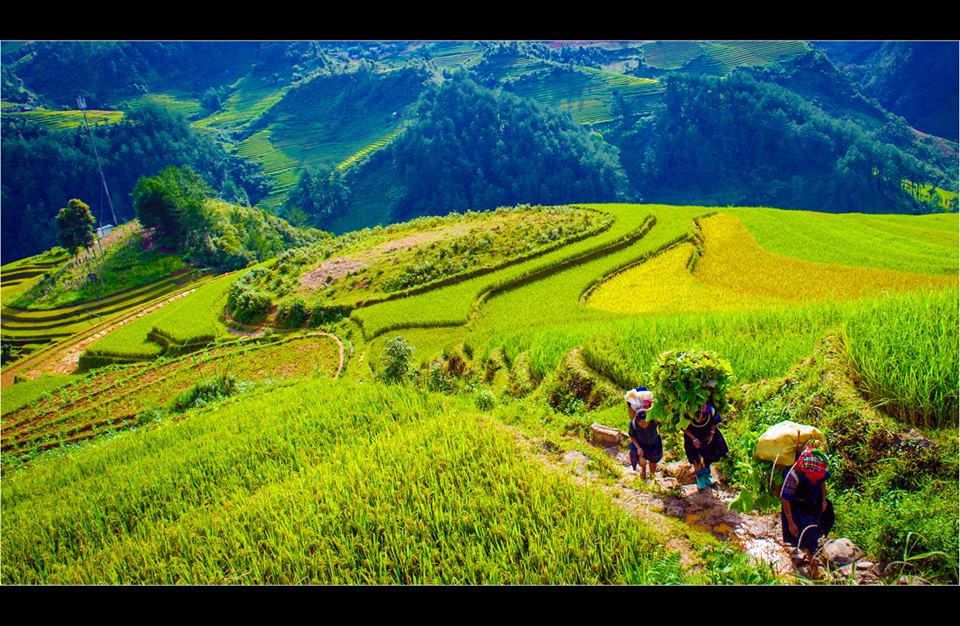 VIETNAM GRAND TOUR 21 DAYS 20 NIGHTS from 1120 USD/person only